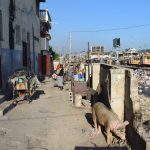 Portail-Leogane is home to Mr. Raymond, who lives here with his family beside one of the city‘s many heavily polluted rivers. On the ground-floor of his house he runs a depot where goods are stored that are later sold in the market nearby.