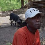 To avoid neighbourhood conflicts, Mr. Filippe puts suitable collars on his pigs. This prevents the animals from entering the bordering properties that are usually demarcated by Cacti fences...