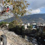 Kinder spielen in einem Baum. Cité-de-Dieu, Port-au-Prince.