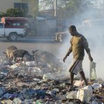 Schweine sieht man in den armen Vierteln von Port-au-Prince überall. Für verarmte Stadtbewohner bildet die Schweinezucht eine Möglichkeit, sich seinen Lebensunterhalt zu verdienen.