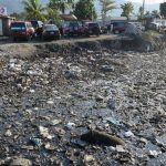 ...For pigs though, the trash represents a giant food resource. They especially like to roam through the heavily trash-polluted rivers as the liquids contained within make sure the rotting food remains more digestible for them.