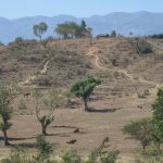 Papaye, a district in the central highlands three hours north-east of Port-au-Prince. Like many other parts of rural Haiti this region is strongly affected by deforestation.