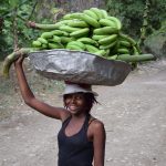 In the fertile lower-lying areas of this region, many agricultural products can be grown.  As communities are spread over large areas, long distances have to be overcome to reach the next marketplace. The woman on the picture, who lives in an isolated village, carries her heavy load for 4 hours on market days until reaching her destination.